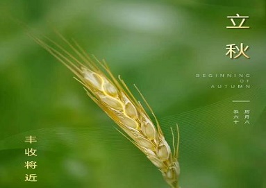 百晟上府 | 立秋  豐收將近 仰光生長(zhǎng)